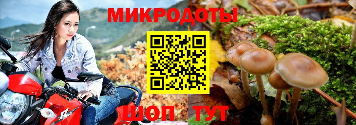 Галлюциногенные грибы GOLDEN TEACHER Родники