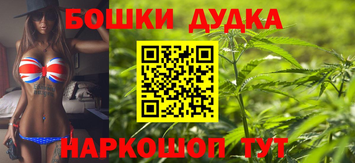 Бошки Шишки планчик Родники